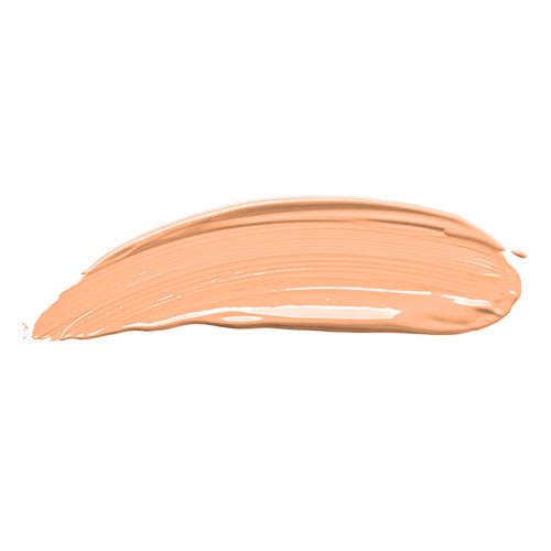 Dual Action Concealer - 11.4g