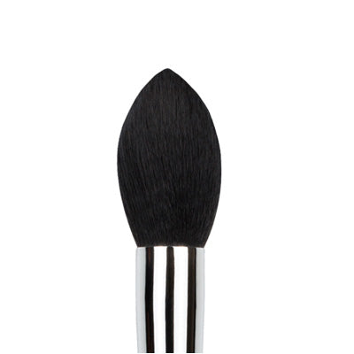 Tapered Powder Brush